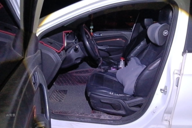 Chery Arrizo 5 2016 car image #18