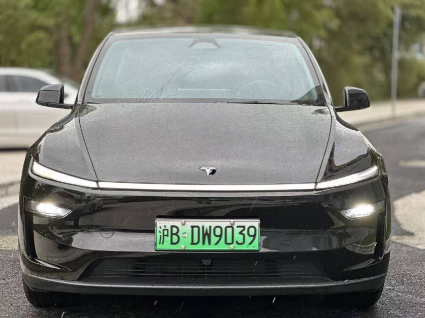Tesla Model Y 2025 car image #2