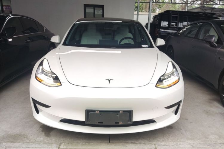 Tesla Model 3 2020 car image #3