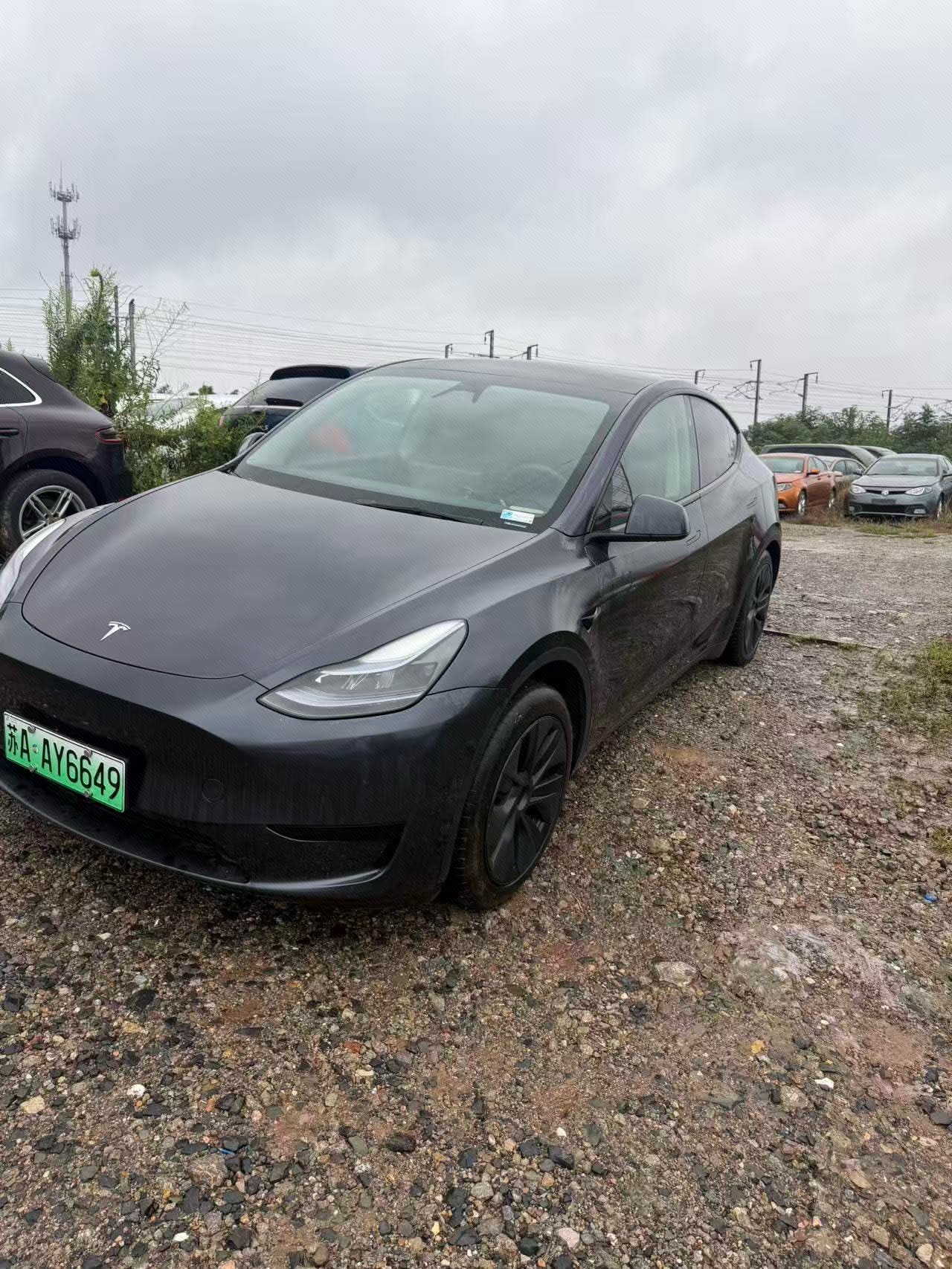 Tesla Model Y 2024 car image 
