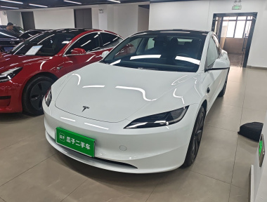 Tesla Model 3 2025 Tesla Model 3 2025 car image