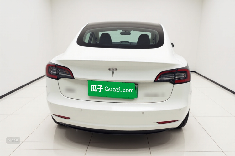 Tesla Model 3 2020 car image #6