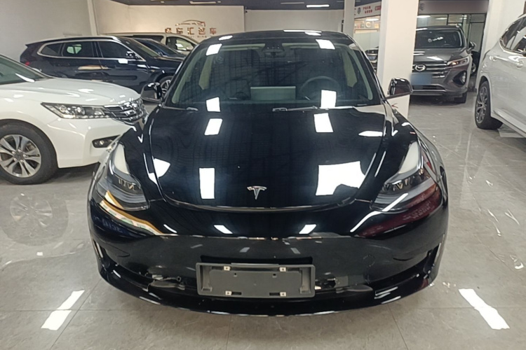 Tesla Model 3 2023 #3 Tesla Model 3 2023 car image #3