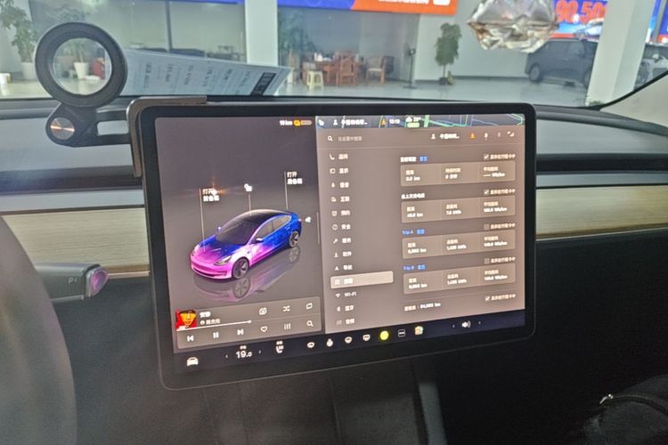 Tesla Model 3 2023 car image #13