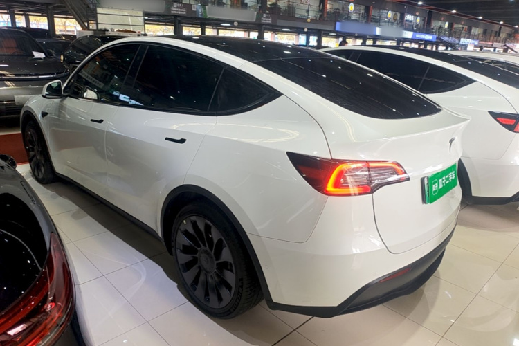 Tesla Model Y 2023 immagine di auto #5
