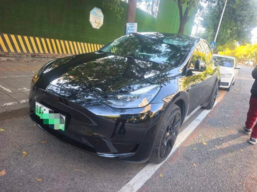 Tesla Model Y 2023 car image 