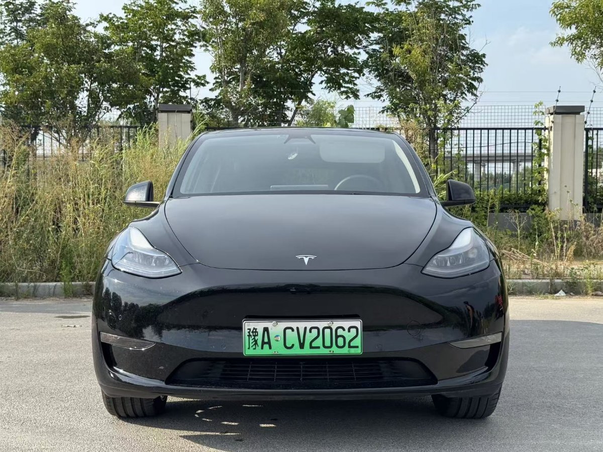 Tesla Model Y 2021 Tesla Model Y 2021 car image