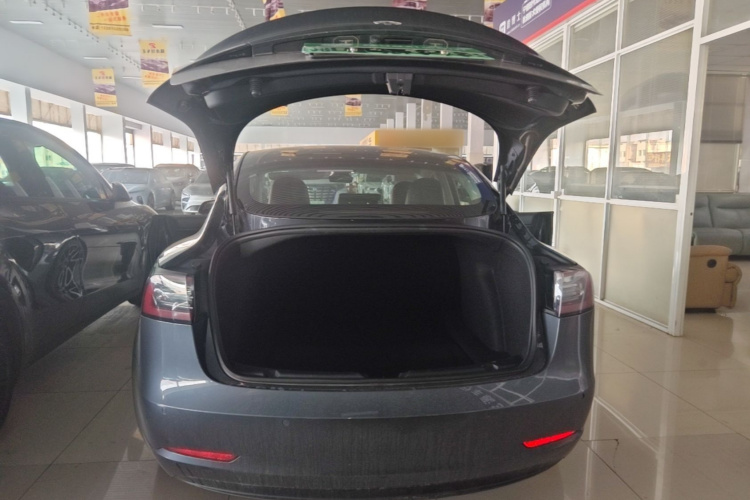 Tesla Model 3 2020 car image #21
