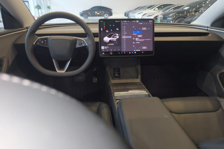 Tesla Model 3 2024 #10 Tesla Model 3 2024 car image #10