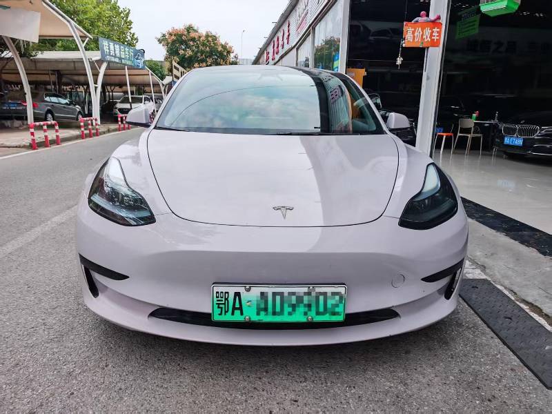 Tesla Model 3 2023 #2 Tesla Model 3 2023 car image #2