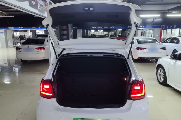 Volkswagen Polo 2016 car image #19