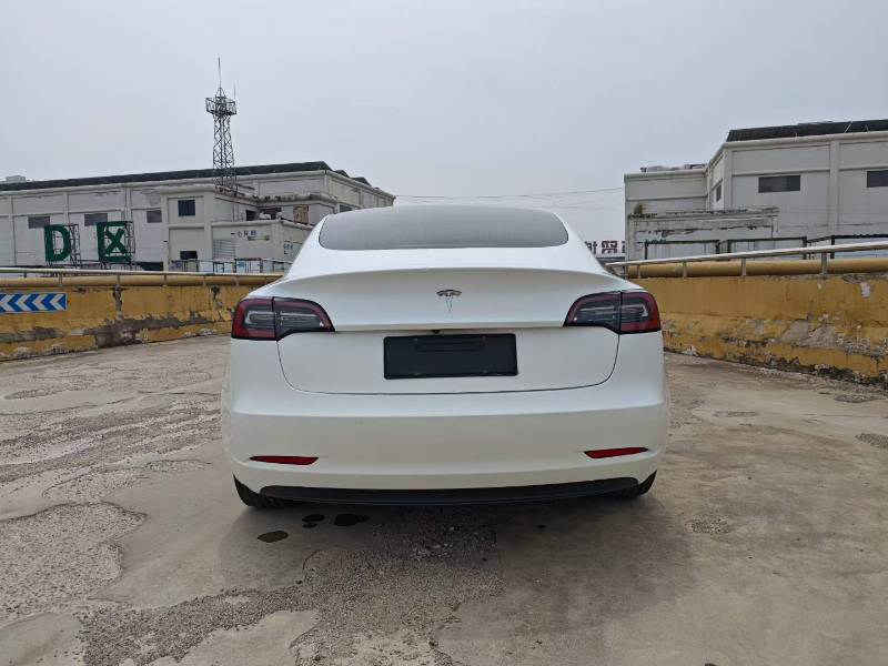 Tesla Model 3 (Imported) 2019 #7 Tesla Model 3 (Imported) 2019 car image #7