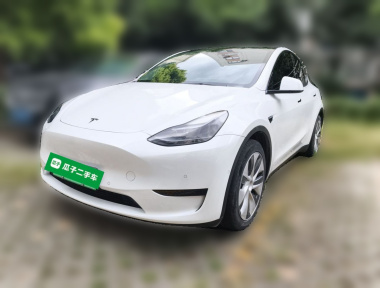 Tesla Model Y 2022 Tesla Model Y 2022 car image