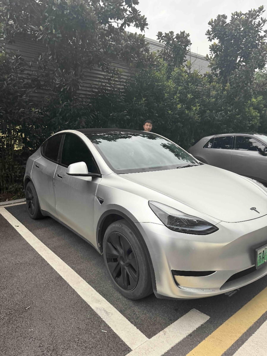 Tesla Model Y 2024 car image #2