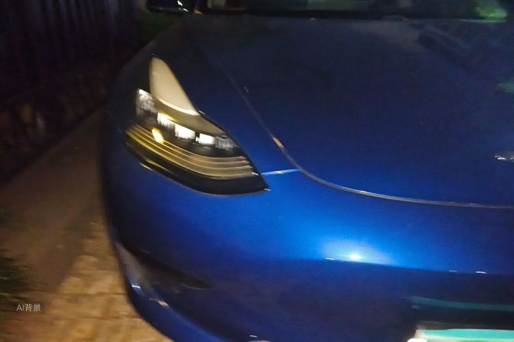 Tesla Model 3 2020 car image #8