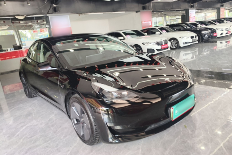 Tesla Model 3 2021 car image #4