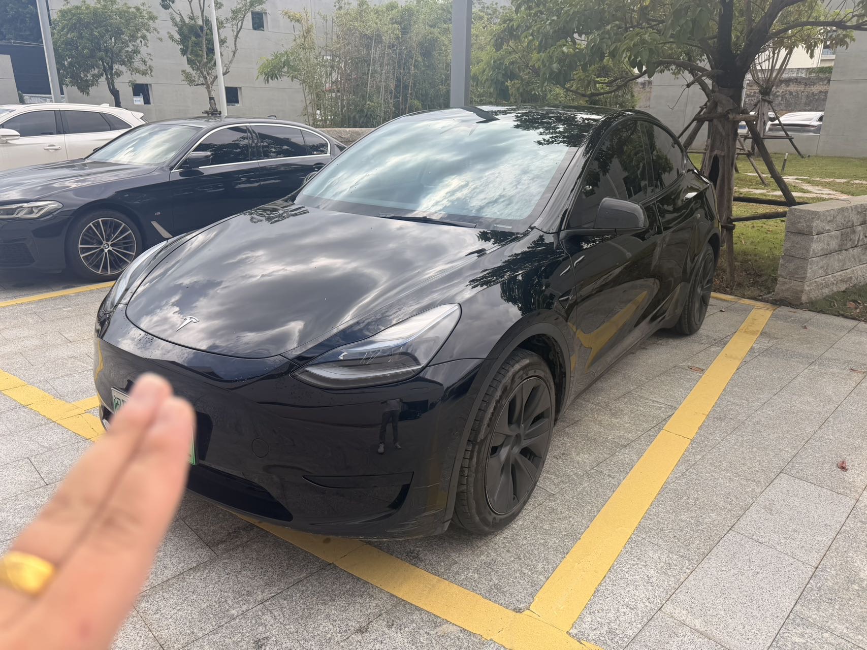 Tesla Model Y 2024 car image 