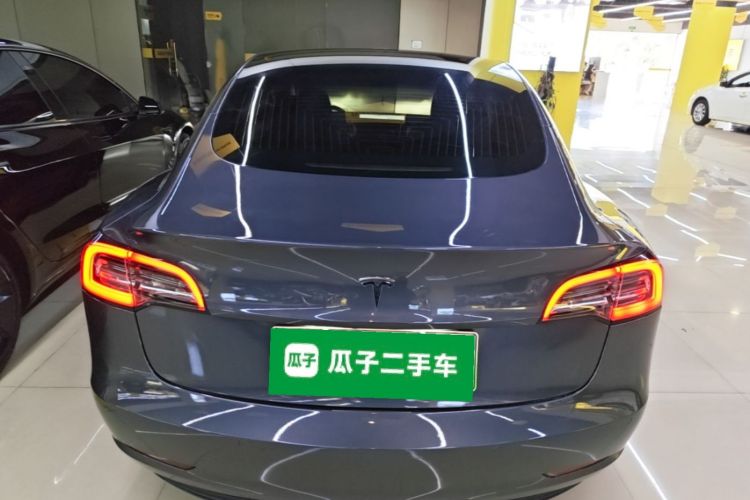 Tesla Model 3 2020 car image #6