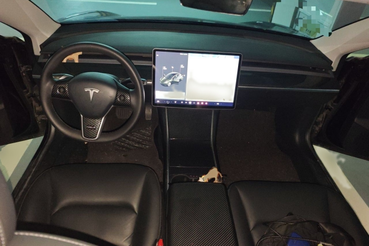 Tesla Model 3 2020 car image #12