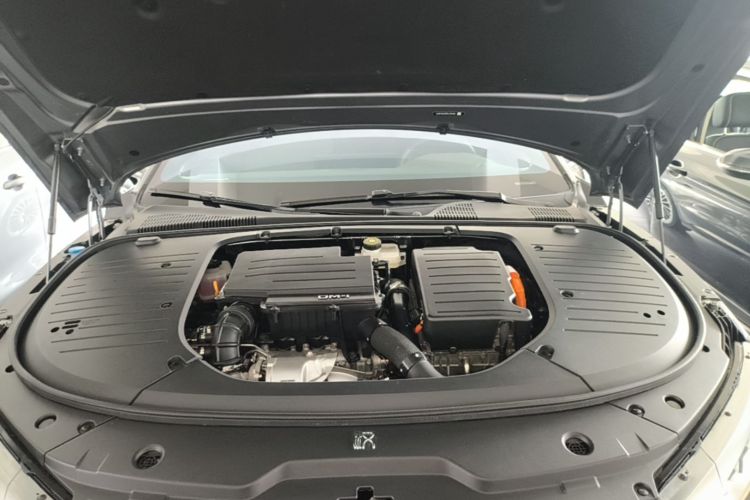 BYD Han 2022 immagine di auto #22