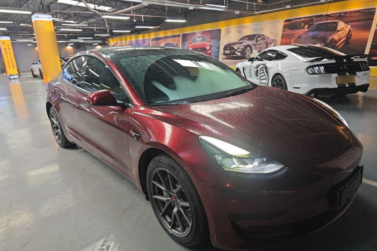 Tesla Model 3 2021 #4 Tesla Model 3 2021 car image #4