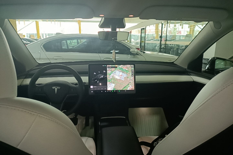Tesla Model Y 2021 car image #11