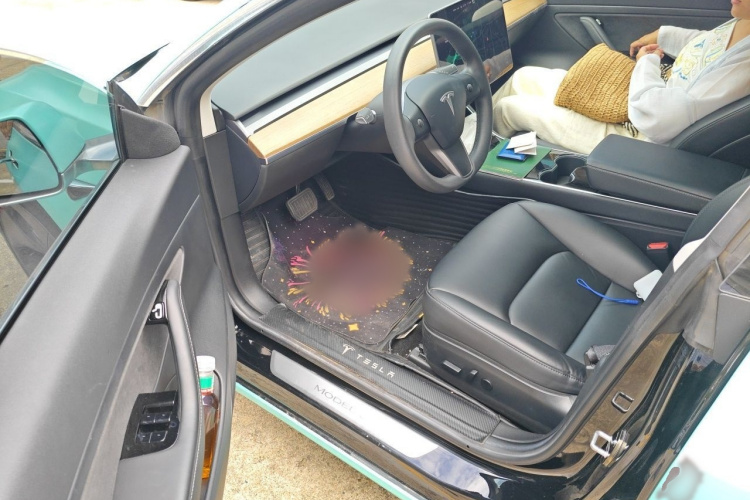 Tesla Model 3 2020 car image #13