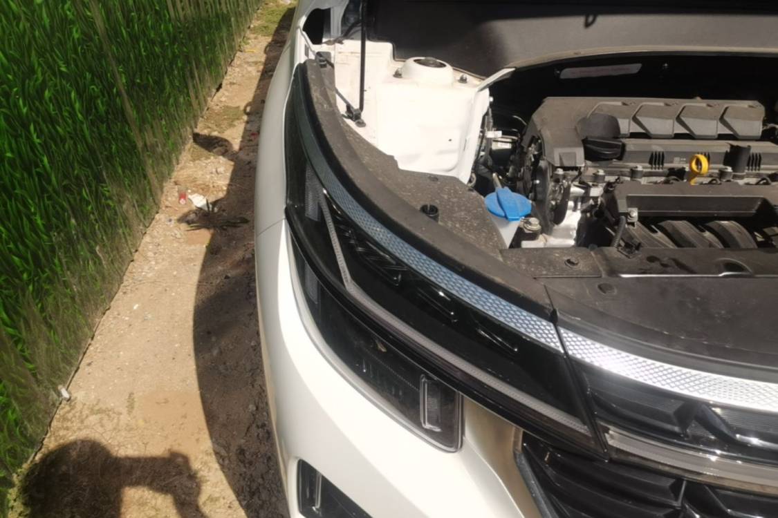 Kia Seltos 2024 car image #7