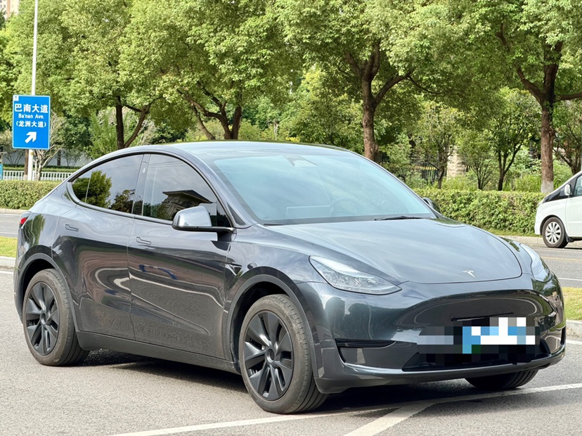 Tesla Model Y 2025 car image #3
