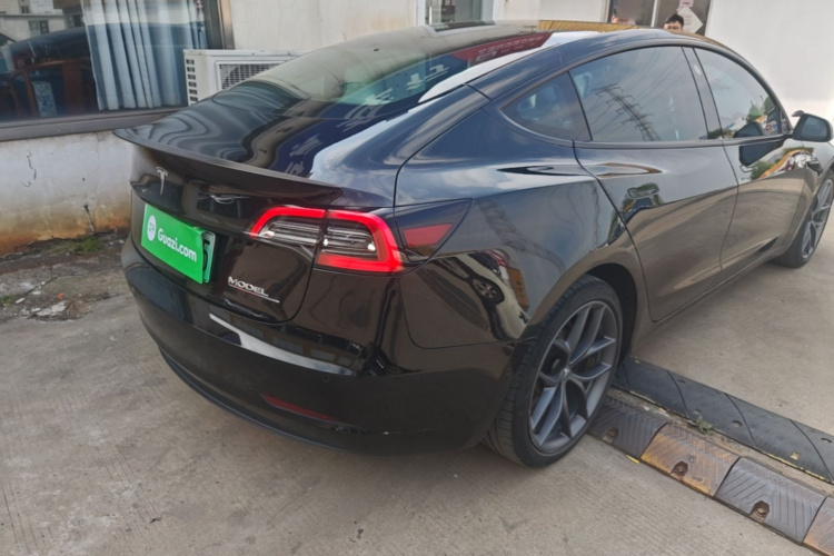 Tesla Model 3 2021 #5 Tesla Model 3 2021 car image #5