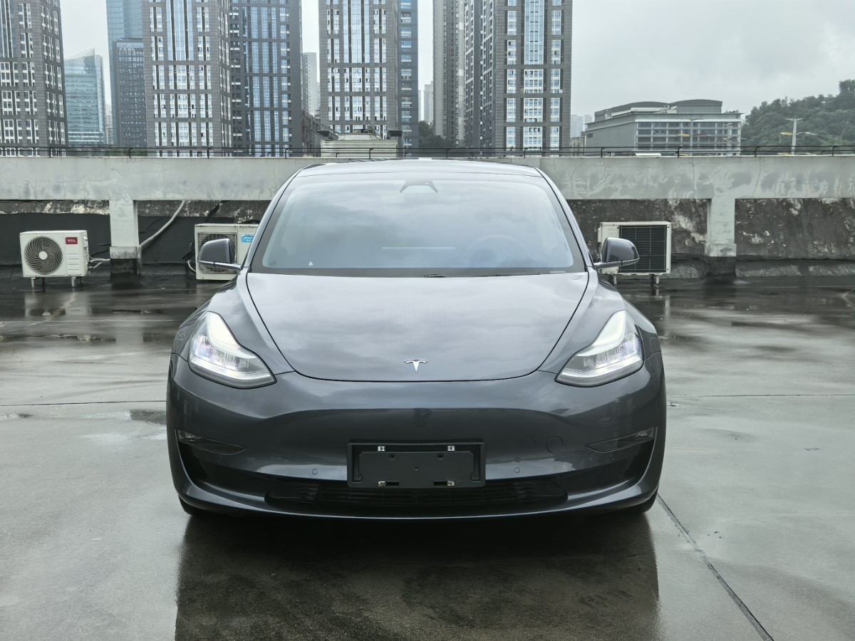 Tesla Model 3 2020 #2 Tesla Model 3 2020 car image #2
