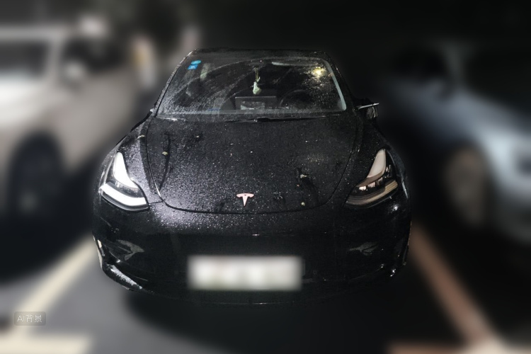 Tesla Model 3 2020 car image #3