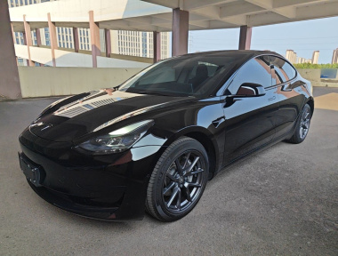 Tesla Model 3 2021 Tesla Model 3 2021 car image
