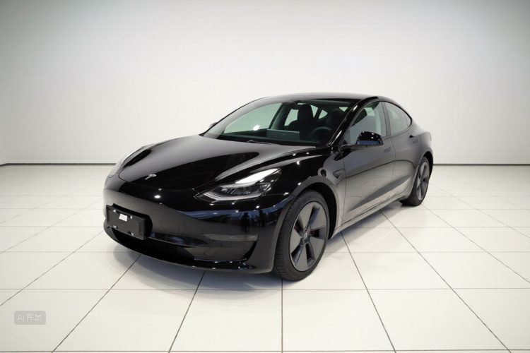 Tesla Model 3 2021 car image #2