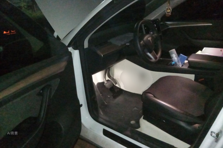 Tesla Model Y 2023 car image #18