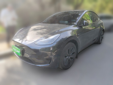 Tesla Model Y 2024 car image 