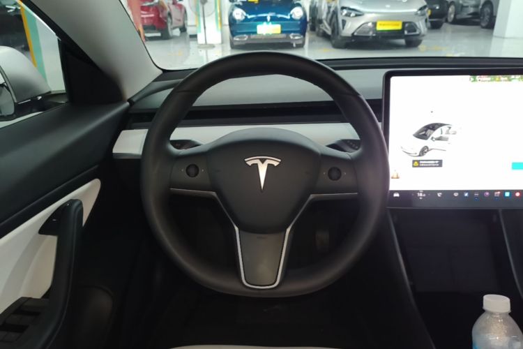 Tesla Model 3 2020 #11 Tesla Model 3 2020 car image #11