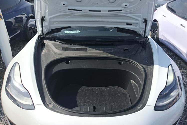 Tesla Model 3 2021 car image #20