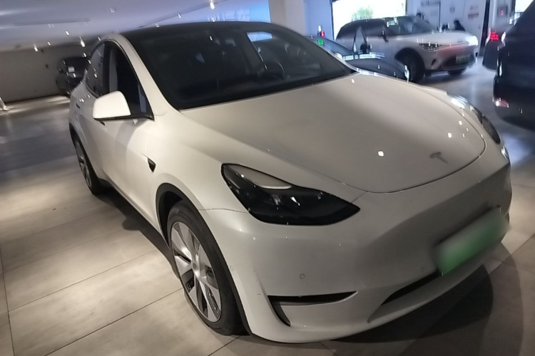 Tesla Model Y 2021 immagine di auto #4