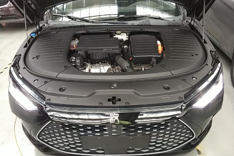 BYD Han 2024 car image #20