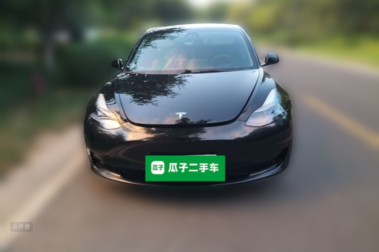 Tesla Model 3 2021 #3 Tesla Model 3 2021 car image #3