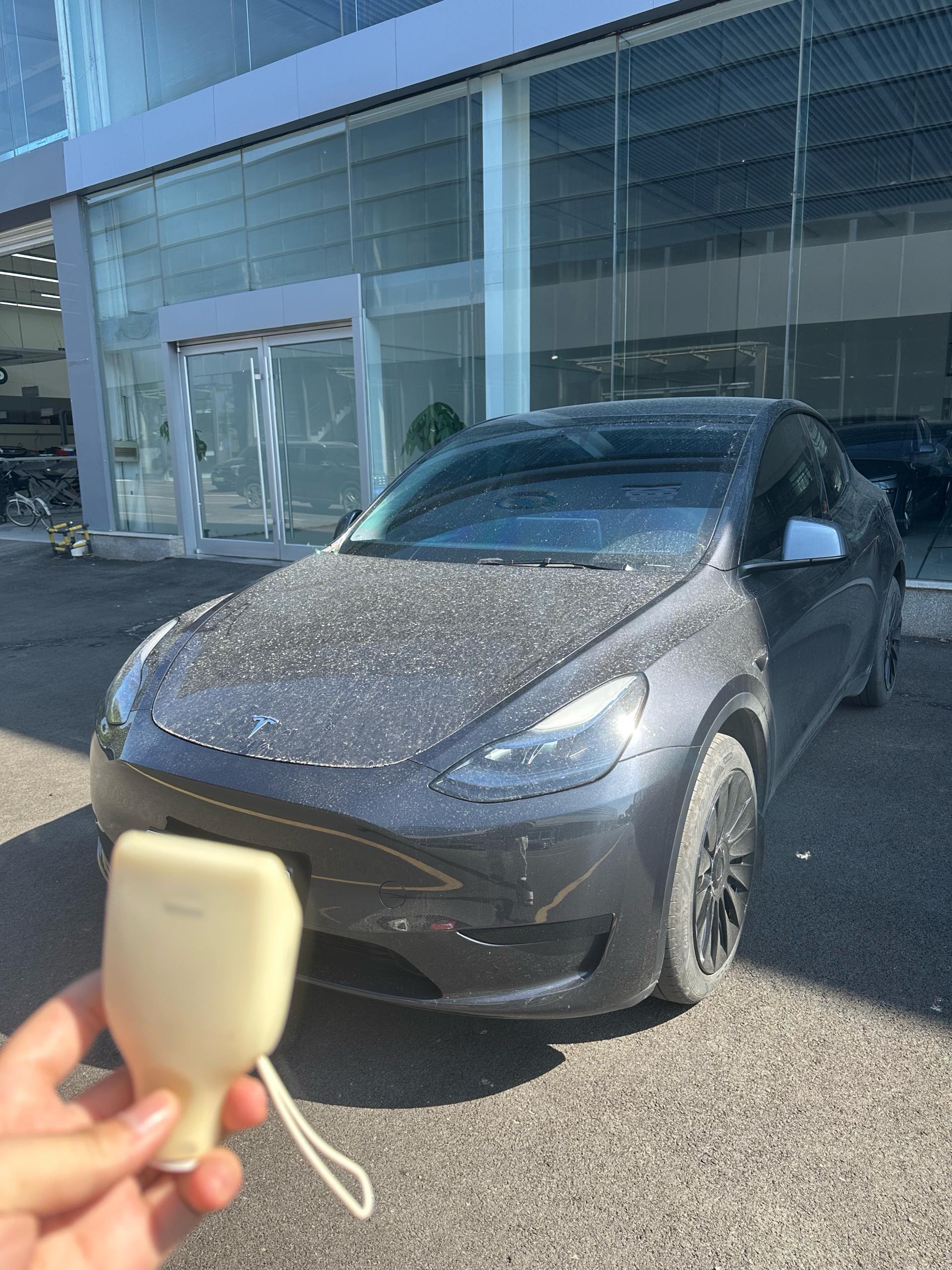 Tesla Model Y 2024 Tesla Model Y 2024 immagine di auto