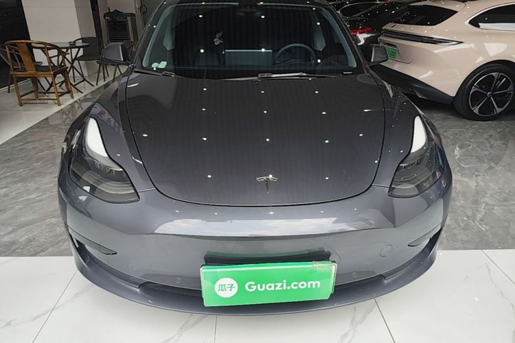 Tesla Model 3 2021 #3 Tesla Model 3 2021 car image #3