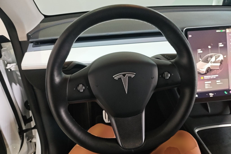 Tesla Model Y 2021 car image #15