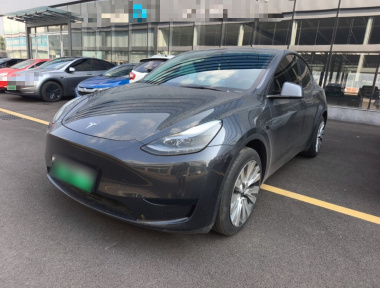 Tesla Model Y 2024 car image 