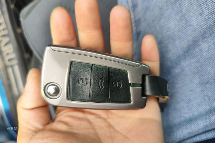 Volkswagen Tharu 2020 car image #10