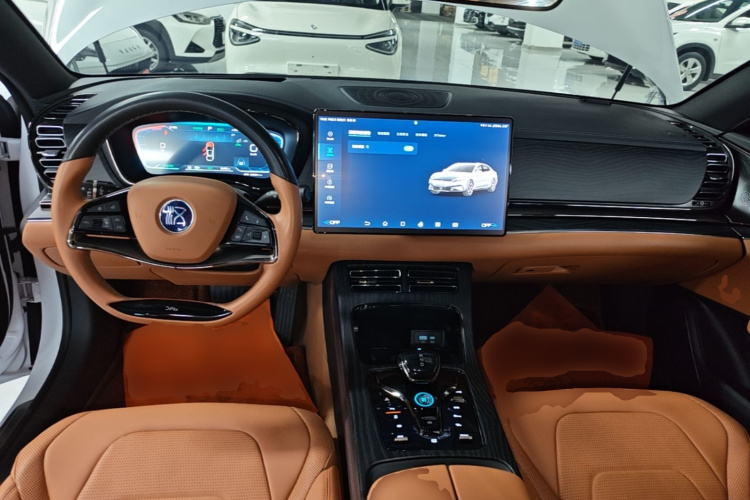 BYD Han 2022 car image #10