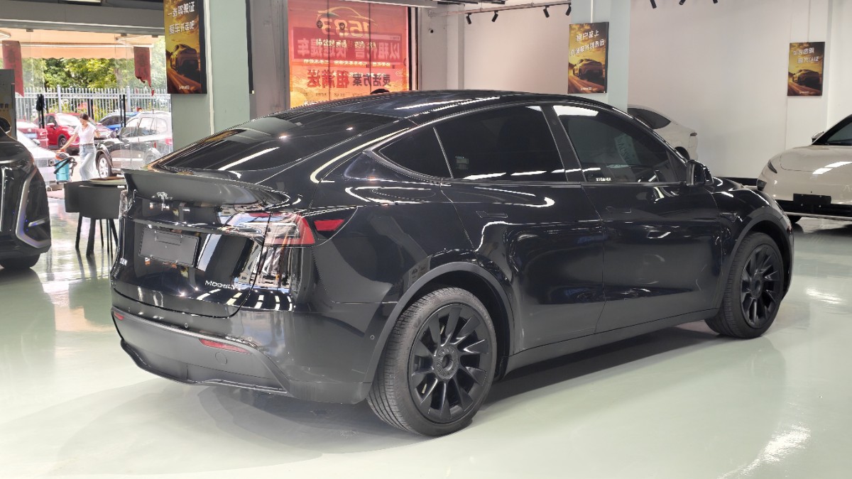 Tesla Model Y 2022 car image #7