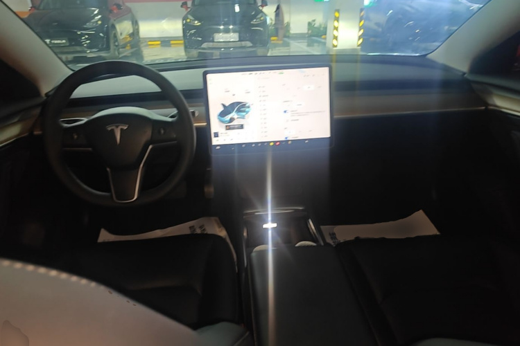 Tesla Model 3 2022 car image #10