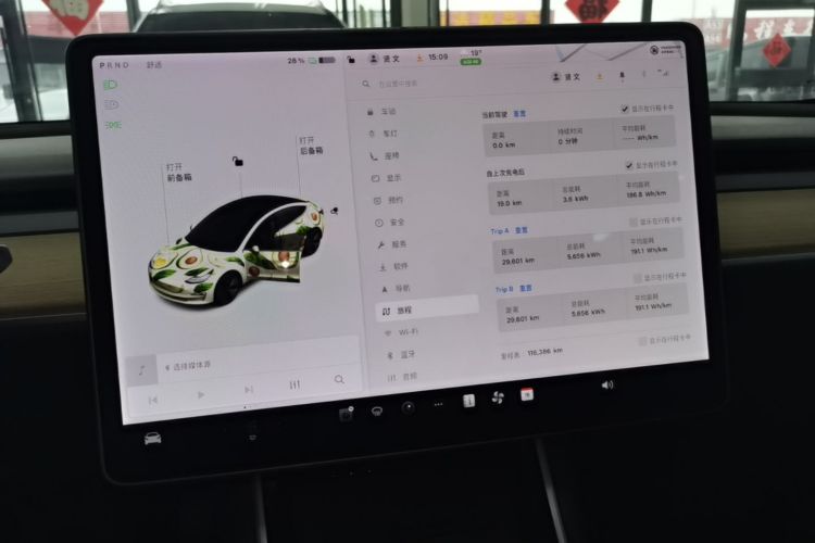 Tesla Model 3 2020 car image #12